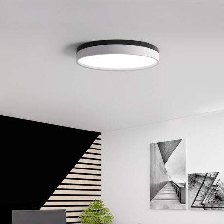 Потолочный светильник Kier D50 White ImperiumLoft KIER01 (181020-26) 