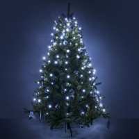 Занавес световой Eurosvet 200-003 200-003 белый