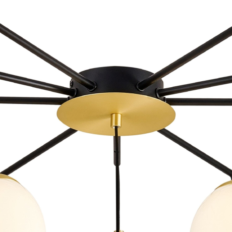 Потолочная люстра Favourite Paramount с поддержкой Алиса 3047-10P-A 