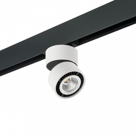 Светильник на штанге Lightstar Forte Muro PRO213816 