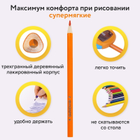 Нарушена упаковка!  <289977> Карандаши цветные СУПЕРМЯГКИЕ ЮНЛАНДИЯ "ТРОПИКИ", 12 цветов, трехгранные, с РАСКРАСКОЙ, 181647 (181647)