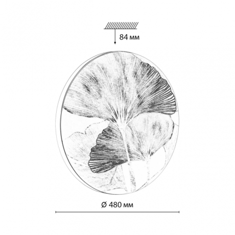 Настенно-потолочный светильник с пультом ДУ Sonex Floren Pale 7747/EL 