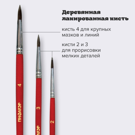 Нарушена упаковка!  <205434> Кисти ПИФАГОР, набор 3 шт. (ПОНИ: круглые № 2, 3, 4), пакет с европодвесом, 200227 (200227)