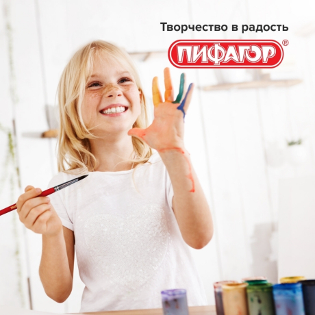 Нарушена упаковка!  <205434> Кисти ПИФАГОР, набор 3 шт. (ПОНИ: круглые № 2, 3, 4), пакет с европодвесом, 200227 (200227)