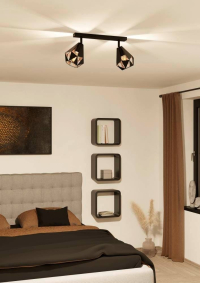 Спот Eglo Carlton 43716