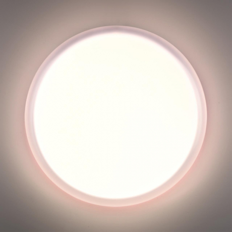 7776/DLN PALE SN 110 Светильник пластик/белый LED 48Вт 3000/4000/6000К D400 IP43 CCT JOLLY SONEX 