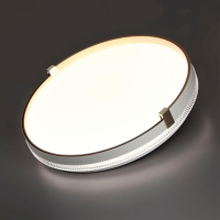 Настенно-потолочный светильник Sonex Pale Olidi White 7646/CL