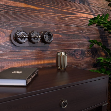 Выключатель на 4 положения двухклавишный (коричневый) Werkel Ретро W5620014