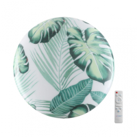 Настенно-потолочный светильник с пультом ДУ Sonex Flori Pale 7748/EL