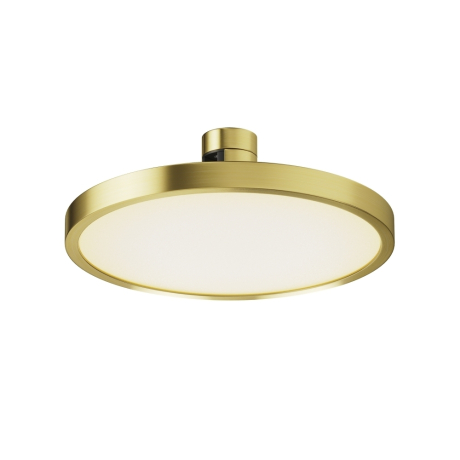 Накладной светильник Maytoni Technical Plato TR153-1-10W3K-BS 