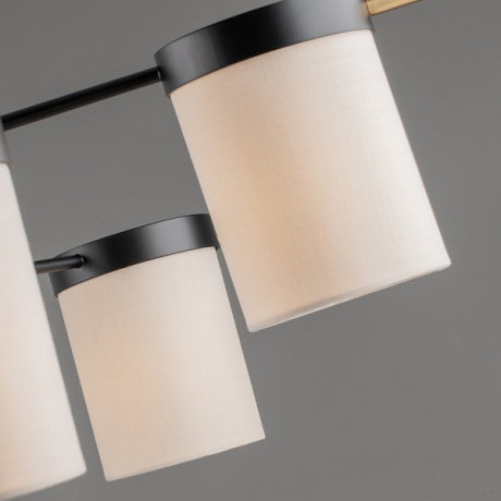 Потолочная люстра Freya Bogy FR5377CL-06B 