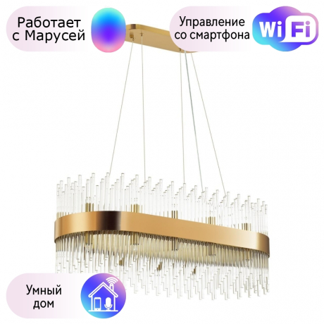 Подвесная люстра Odeon Light Focco с поддержкой Маруся 4722/24-М 