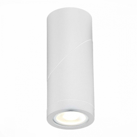 Светильник на штанге ST-Luce ST650 ST650.502.01 