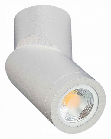 Светильник на штанге ST-Luce ST650 ST650.502.01 