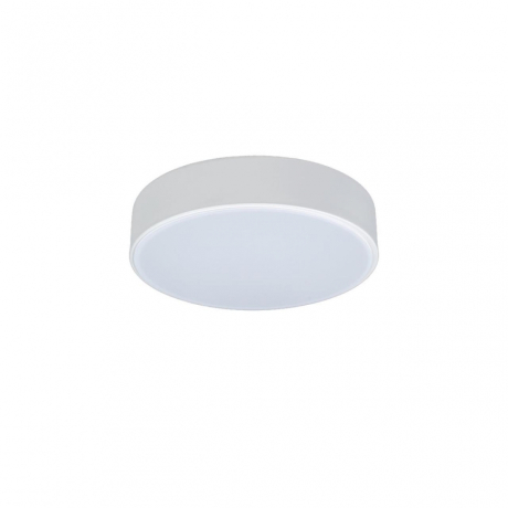 Потолочный светодиодный светильник Axel Loft It 10002/12 White 
