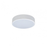 Потолочный светодиодный светильник Axel Loft It 10002/12 White 