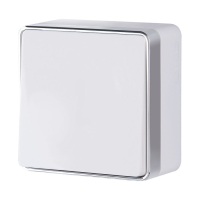 Выключатель одноклавишный Gallant (белый) Werkel W5010001