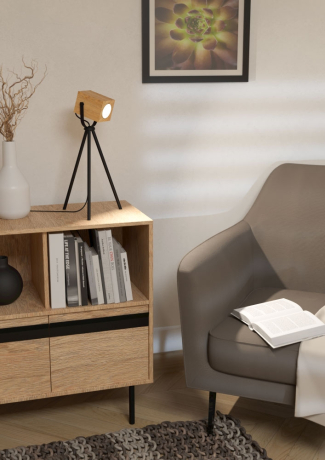 Настольная лампа Eglo Ayles 43749 