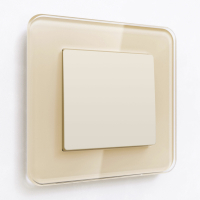 Выключатель одноклавишный (айвори матовый) Werkel W1110062