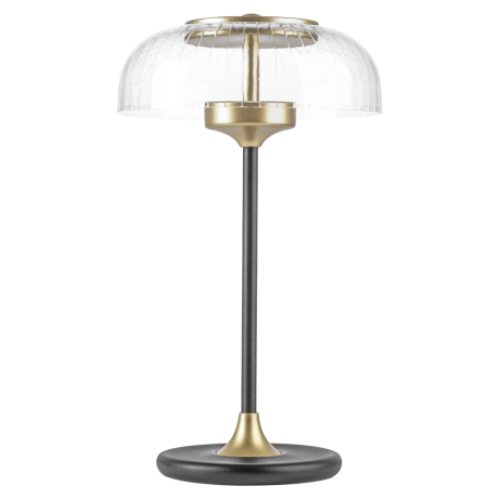 Настольная лампа Acrile Lightstar 738973 