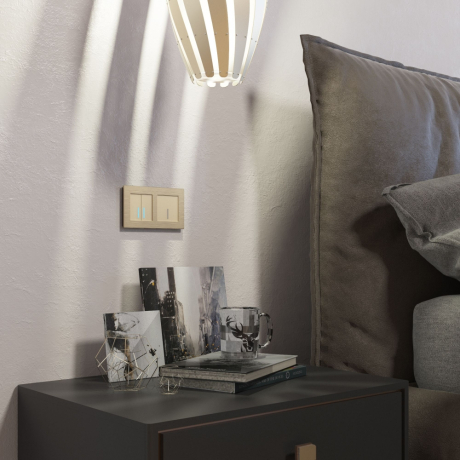 Рамка на 2 поста (шампань алюминий) Aluminium Werkel W0021711