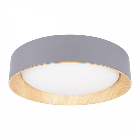 Потолочный светодиодный светильник Loft IT Coin 10202 Grey 