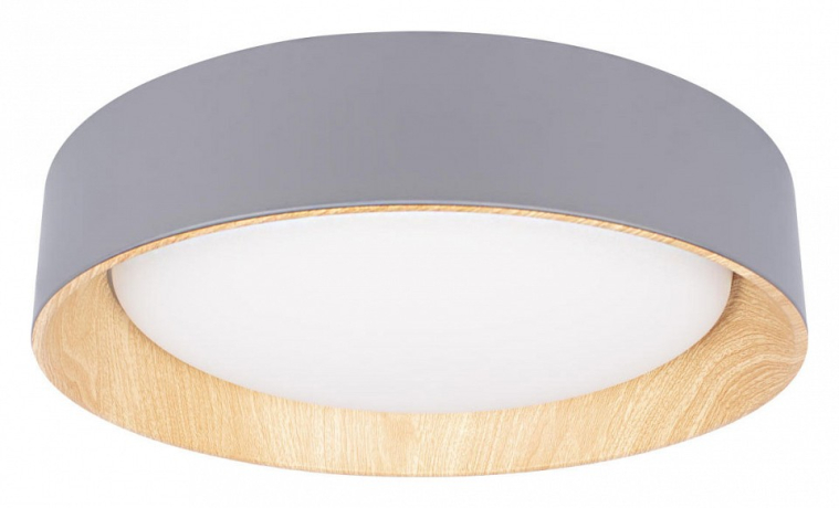 Накладной светильник Loft it Coin 10202 Grey 