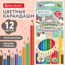 Нарушена упаковка!  <844355> Карандаши цветные кросс-серия "МИЛЫЕ КОТЫ", 12 цветов, трехгранные, BRAUBERG, 182109