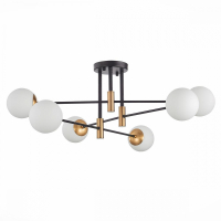 Потолочная люстра ST-Luce Limano SL1203.402.06