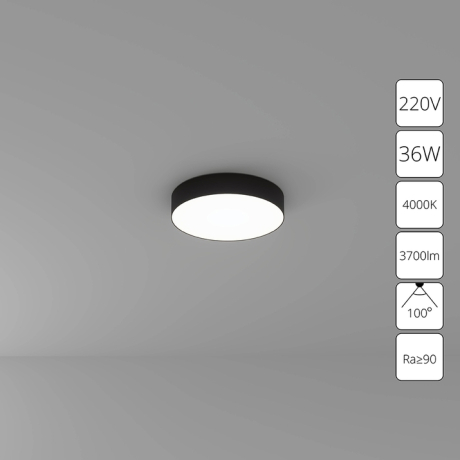 Потолочный светильник Arte Lamp Fado A6635PL-1BK 