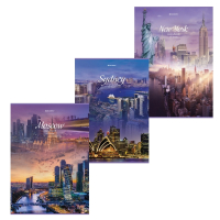 Нарушена упаковка!  <319638> Тетрадь А4, 80 л., BRAUBERG ЭКО, скоба, клетка, обложка картон, "City",  () 404045