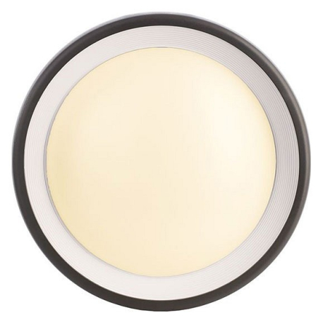 Накладной светильник Deko-Light Canis 731043 