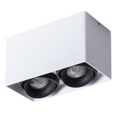 A5654PL-2WH Светильник потолочный Arte Lamp Pictor 