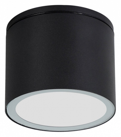 Накладной светильник Arte Lamp Piautos A1913PF-1BK 