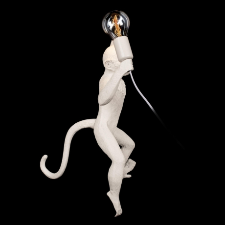 10314W/A Настенный светильник LOFT IT Monkey 10314W/A 