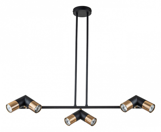 Люстра на штанге Indigo Doppio 11036/6R Black 