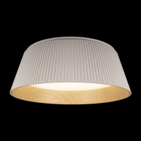 Потолочный светодиодный светильник Loft IT Evans 10224 White