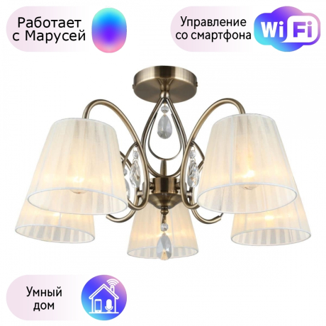 Люстра с поддержкой Маруси потолочная Omnilux OML-56617-05-M 