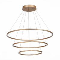 Подвесная светодиодная люстра St Luce Down ST605.243.114