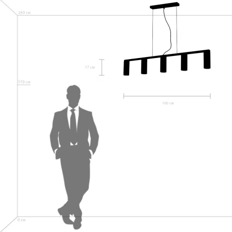 Подвесная люстра Lightstar с поддержкой Алисы, Roma 718053 