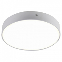 2065-30C Светодиодный настенно-потолочный светильник Favourite Flashled