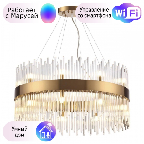 Подвесная люстра Odeon Light Focco с поддержкой Маруся 4722/18-М 