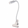 Настольная лампа офисная Citilux Ньютон CL803060N 