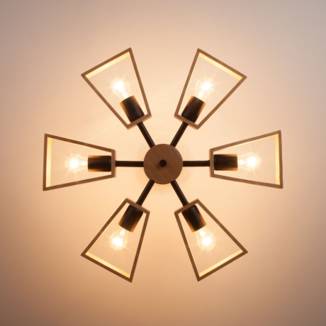 Потолочная люстра 70056/6 черный Eurosvet 