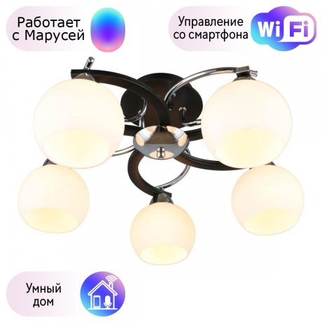 Люстра с поддержкой Маруси потолочная Omnilux OML-25407-05-M 
