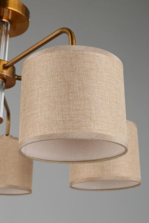 Люстра с поддержкой Алисы потолочная Omnilux OML-56907-05-A 