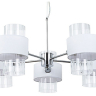Подвесная люстра Arte Lamp Fantasia A4076LM-5CC