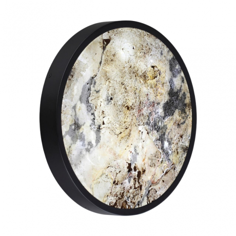 Накладной светильник Odeon Light Bergi 5064/24L 