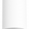 Накладной светильник Lightstar Rullo R4363437