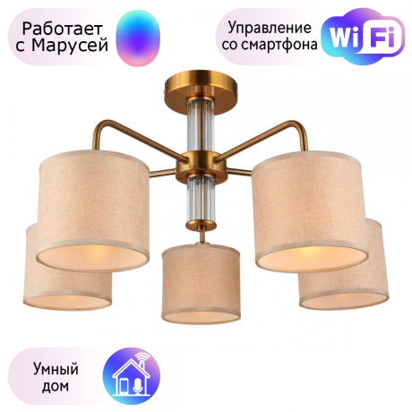 Люстра с поддержкой Маруси потолочная Omnilux OML-56907-05-M 